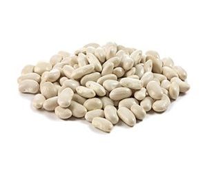 خریده عمده لوبیا سفید