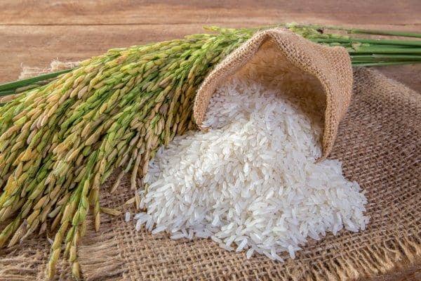 برتری برنج کهنه نسبت به برنج نو