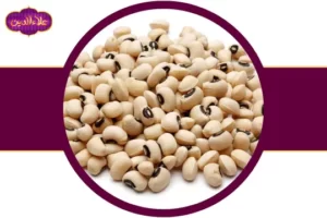 لوبیا چشم بلبلی عمده
