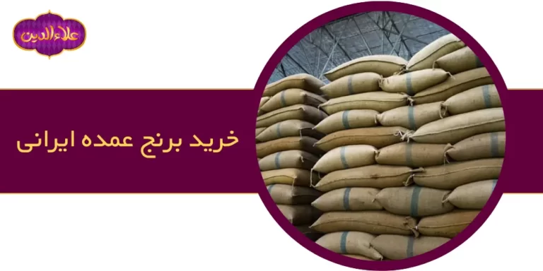 خرید عمده برنج ایرانی