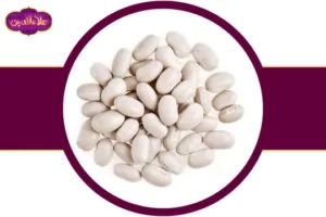 خرید لوبیا سفید