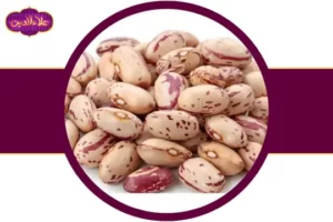 لوبیا چیتی عمده