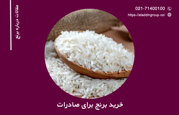 خرید برنج برای صادرات به عراق - ترکیه - افغانستان - اروپا