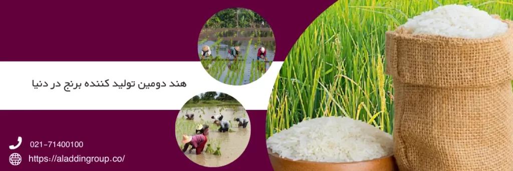 هند دومین تولید کننده برنج در دنیا