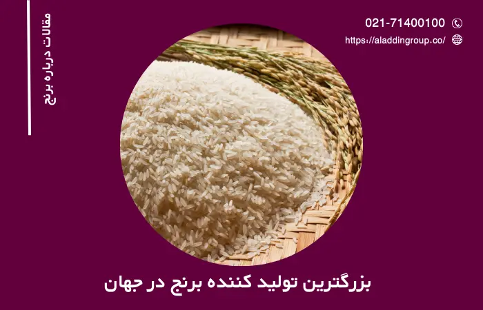 بزرگترین تولید کننده برنج در دنیا