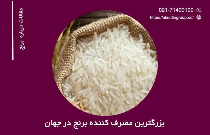 بزرگ ترین کشورهای مصرف کننده برنج در دنیا