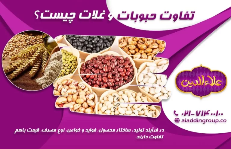 What-is-the-difference-between-legumes-and-grains-1