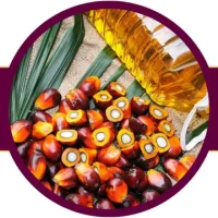 روغن پالم در مصارف صنعتی و آرایشی، کاربرد بسیاری دارد به همین دلیل خرید عمده آن رواج دارد.