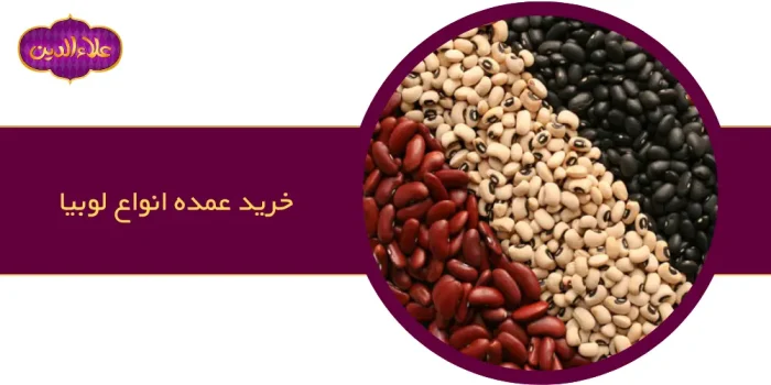 خرید انواع لوبیا