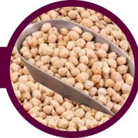 خرید انواع نخود