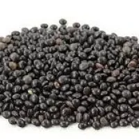 خرید عدس سیاه