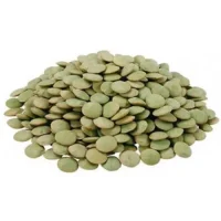 خرید عدس سبز