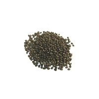 خرید عمده ماش