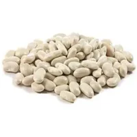 خرید عمده انواع لوبیا ارتشی