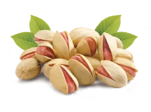 فروش پسته دامغان