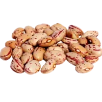 Pinto-bean-e1649834389125