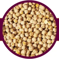 خرید عمده انواع نخود