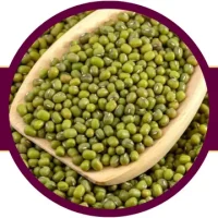 خرید ماش از شرکت علاءالدین