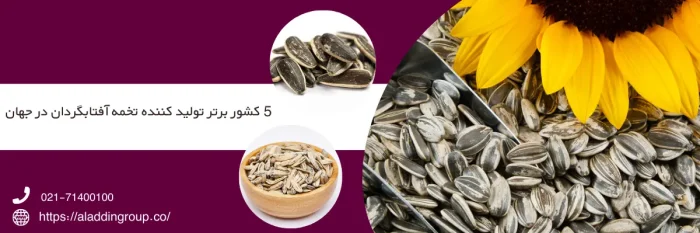 معرفی 5 کشور برتر تولید کننده تخمه آفتابگردان در جهان