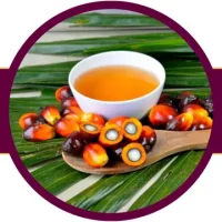 خرید روغن پالم