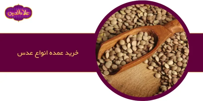 خرید انواع عدس